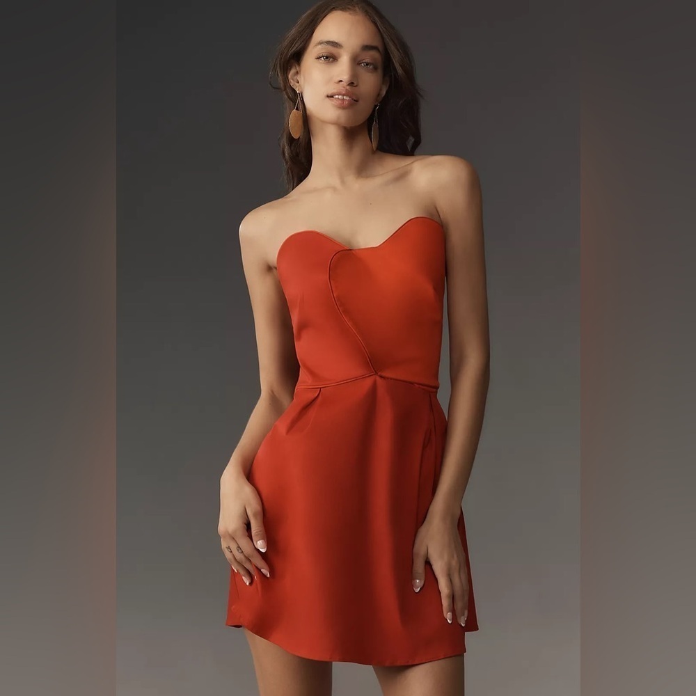 NWT! Red Farm Rio x Anthropologie Strapless Heart Mini Dress - Medium 🏀